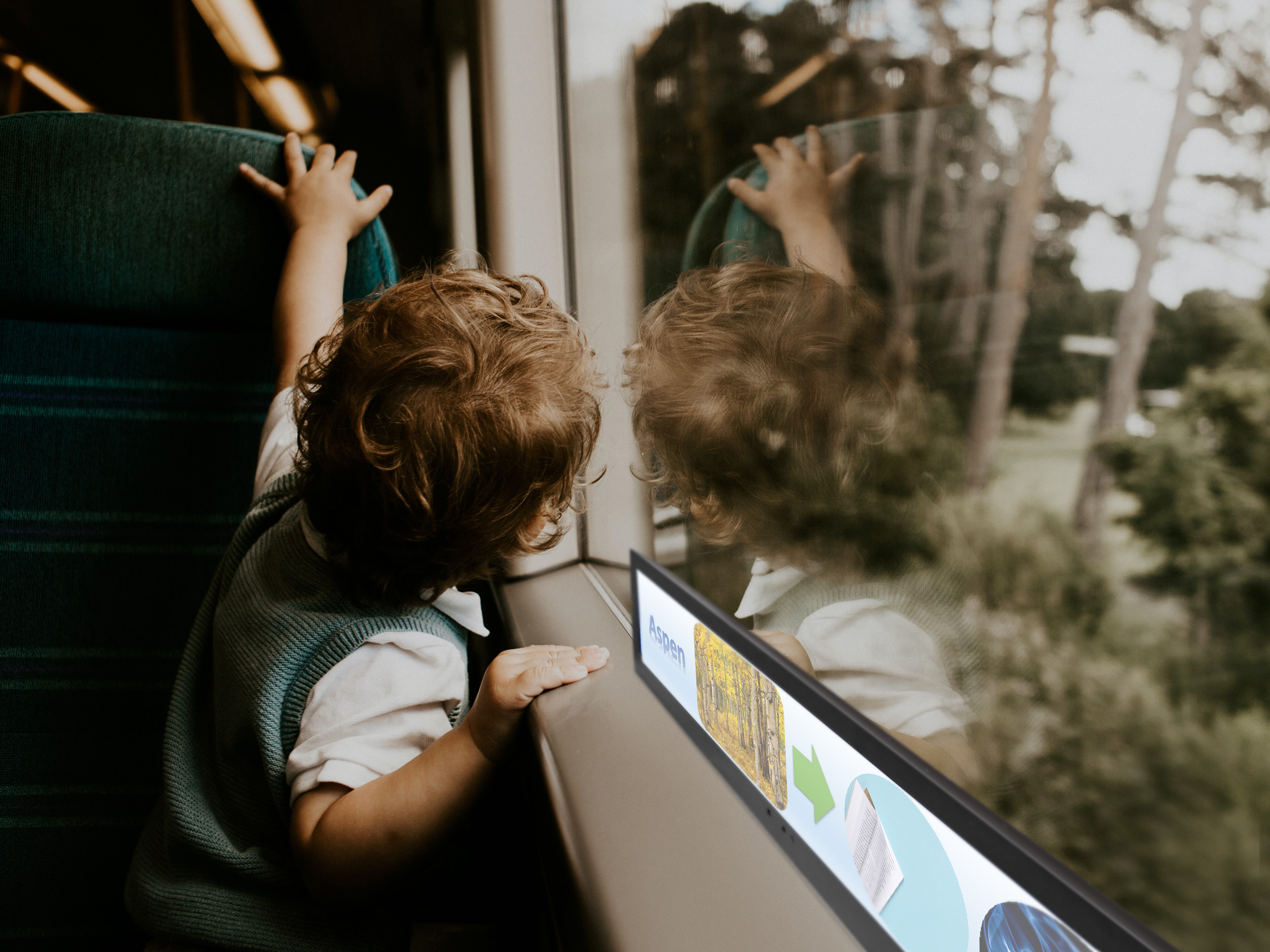 An Intimate Tour Guide Under the Cabin Window